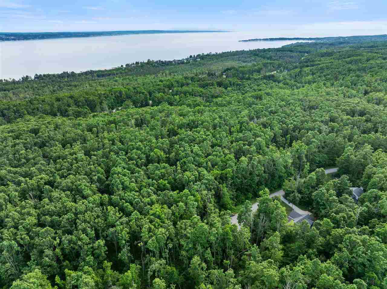 557 Arcadia Drive Harbor Springs MI 49740