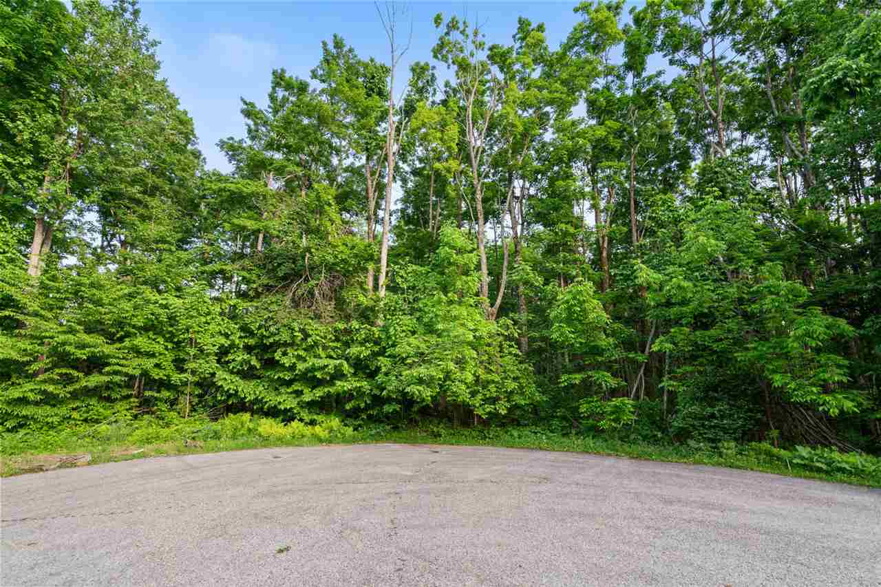 557 Arcadia Drive Harbor Springs MI 49740