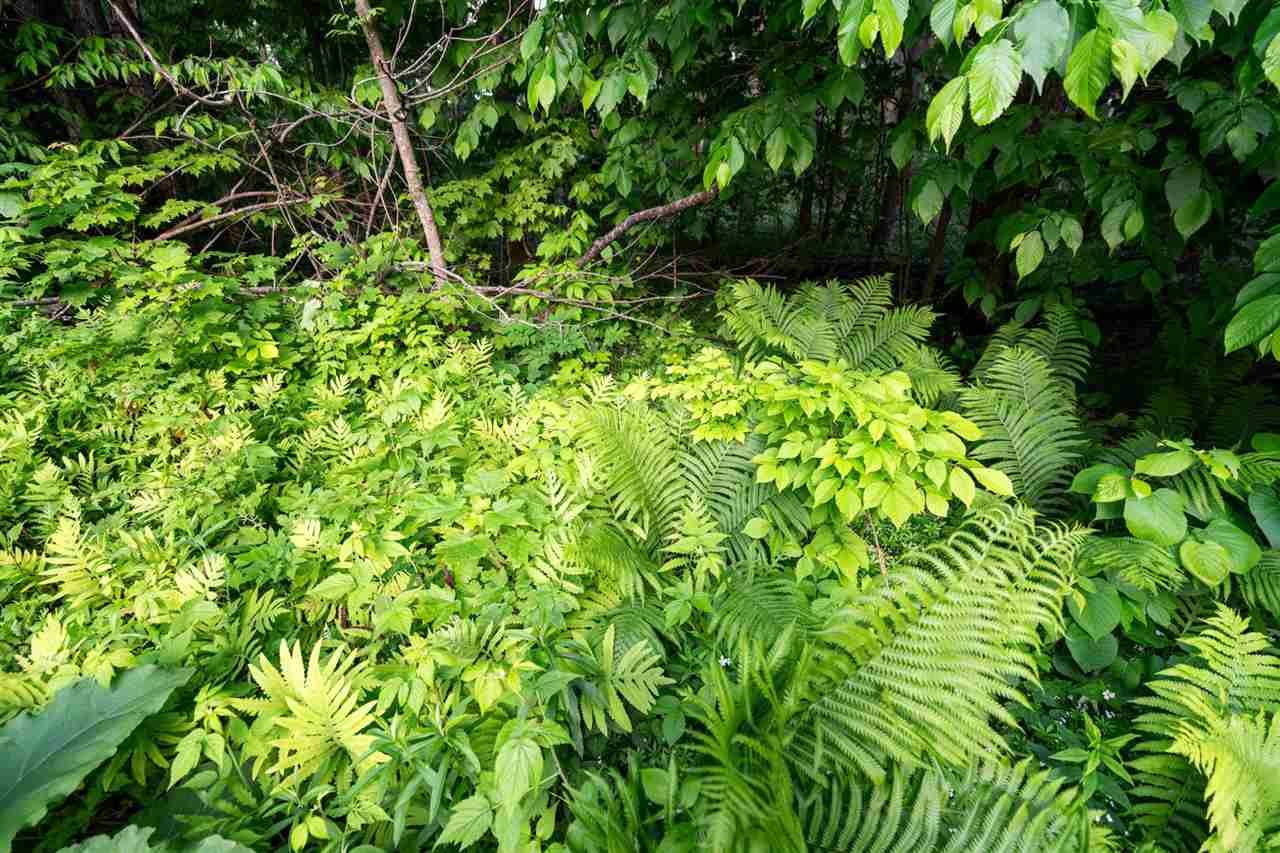 557 Arcadia Drive Harbor Springs MI 49740