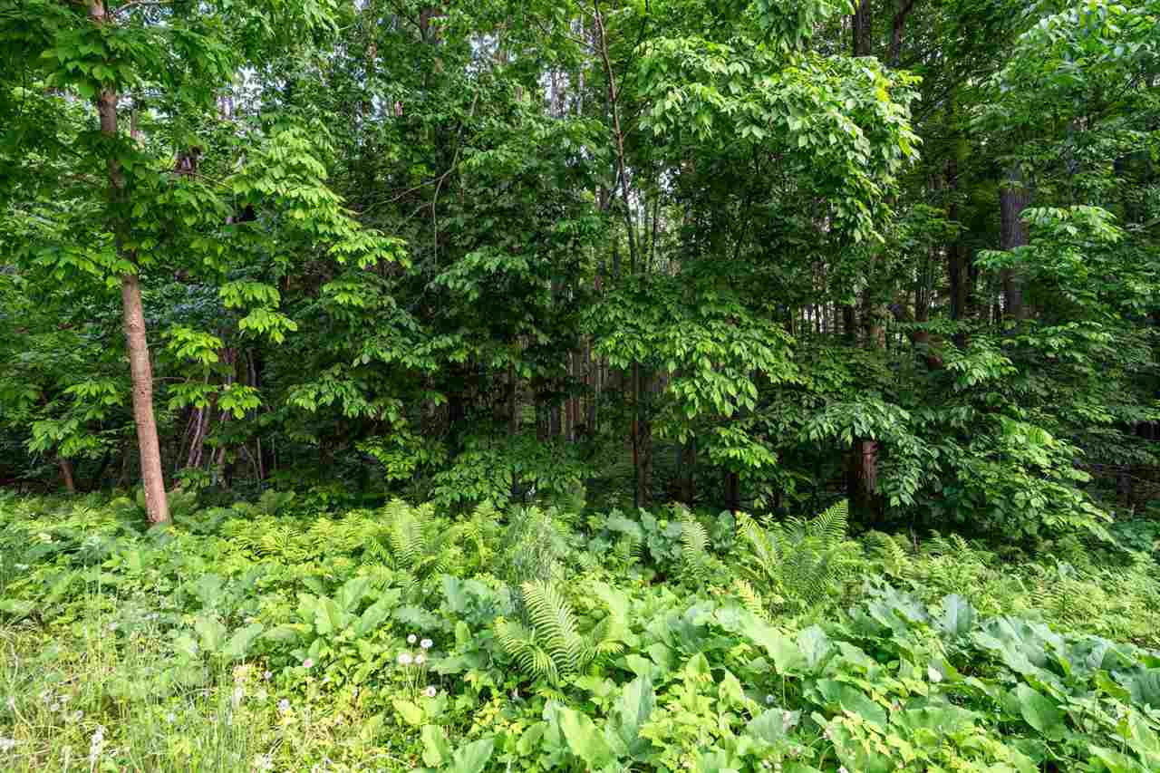 557 Arcadia Drive Harbor Springs MI 49740