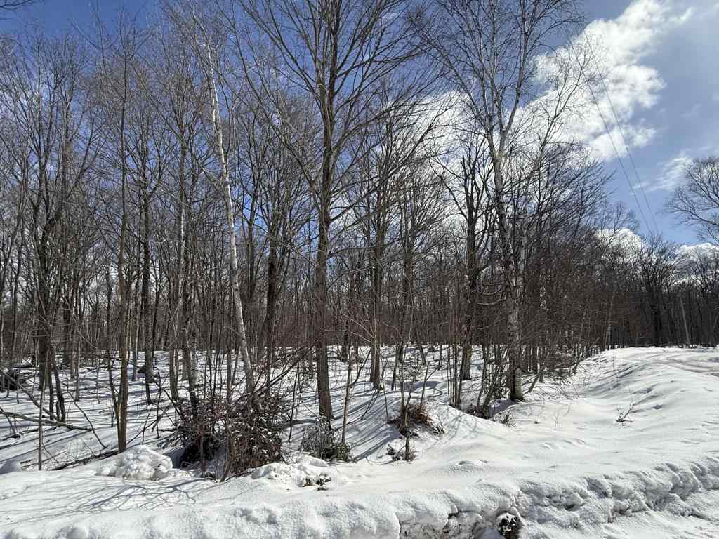 Lot 475,386,387 Island Woods Road N Beaver Island MI 49782