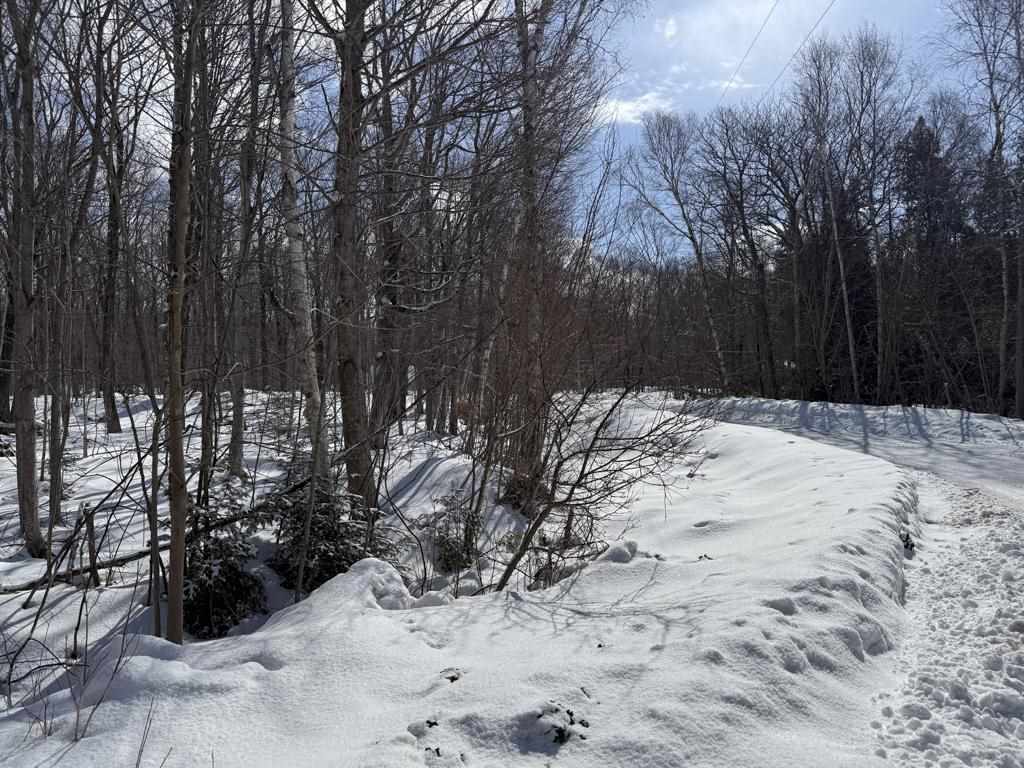 Lot 475,386,387 Island Woods Road N Beaver Island MI 49782