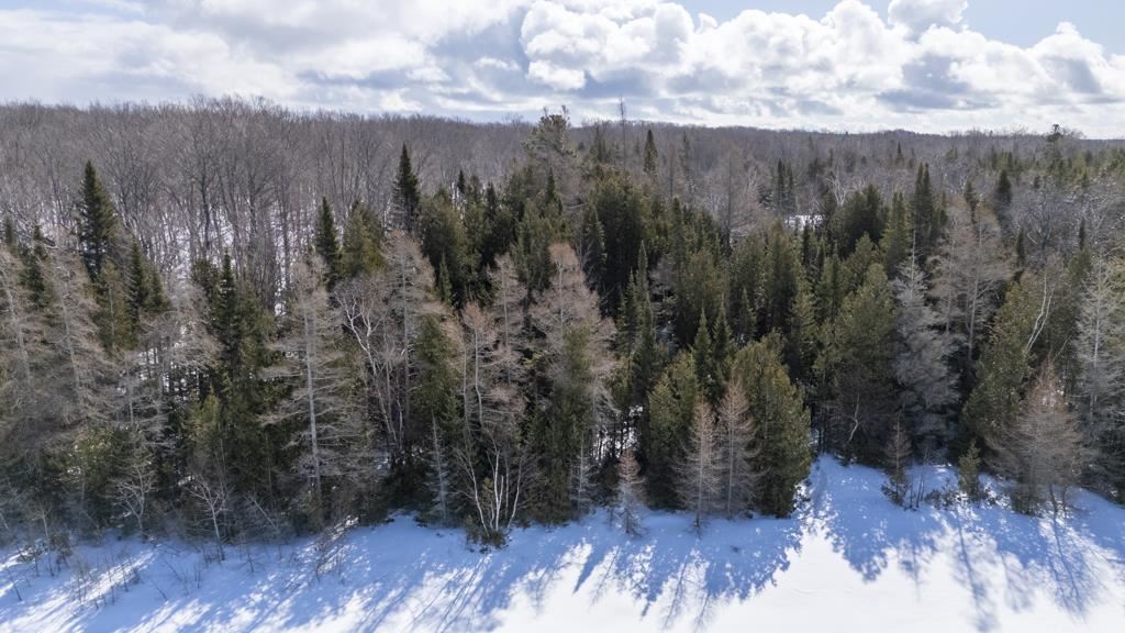 Lot 475,386,387 Island Woods Road N Beaver Island MI 49782