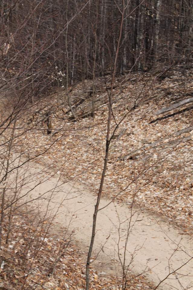 340 Pleasant Ridge Drive Harbor Springs MI 49740