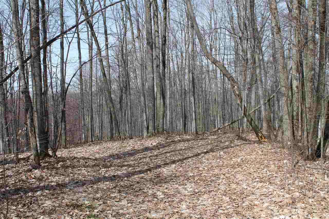 340 Pleasant Ridge Drive Harbor Springs MI 49740