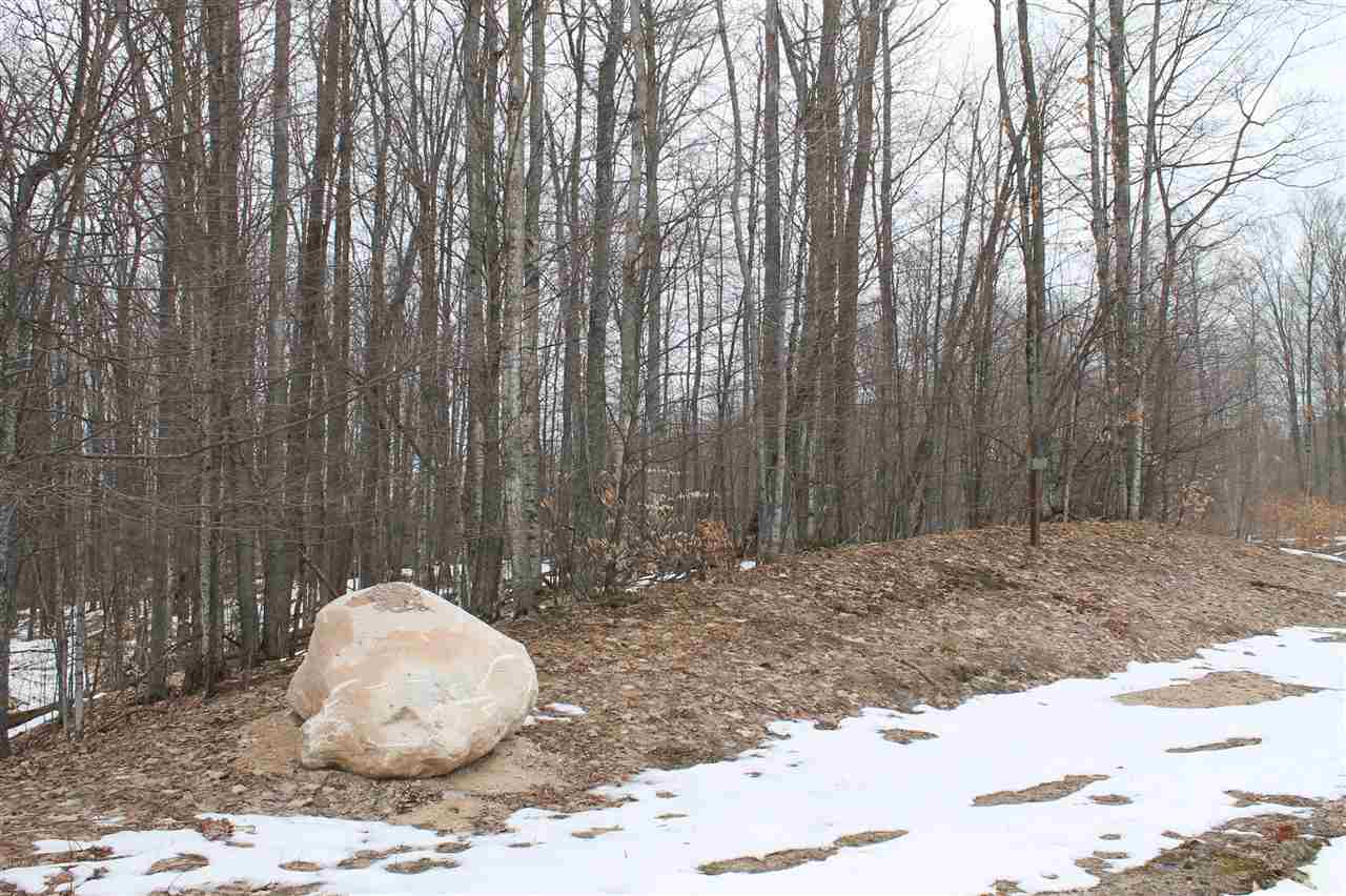 340 Pleasant Ridge Drive Harbor Springs MI 49740