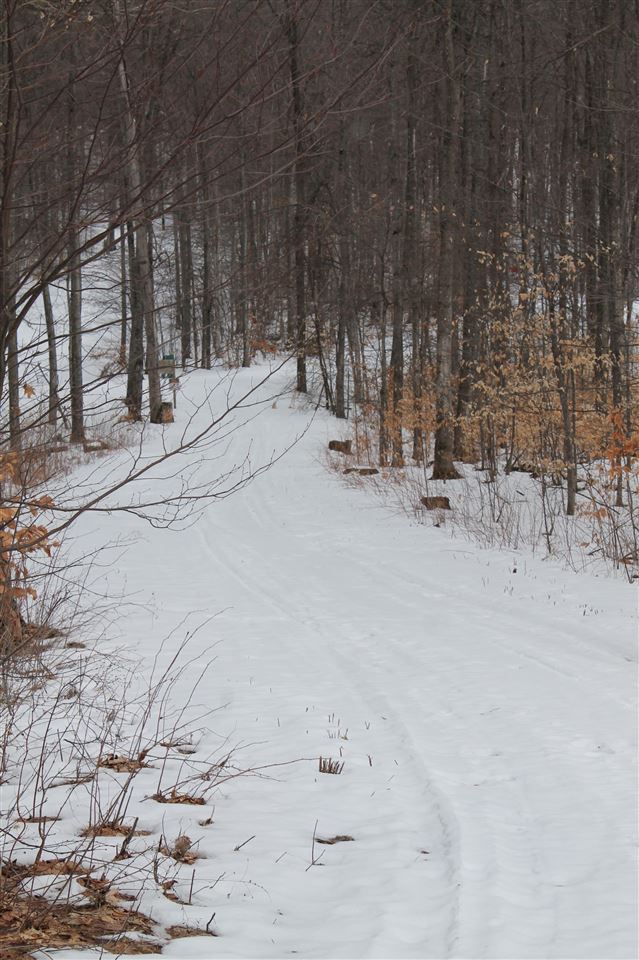 340 Pleasant Ridge Drive Harbor Springs MI 49740