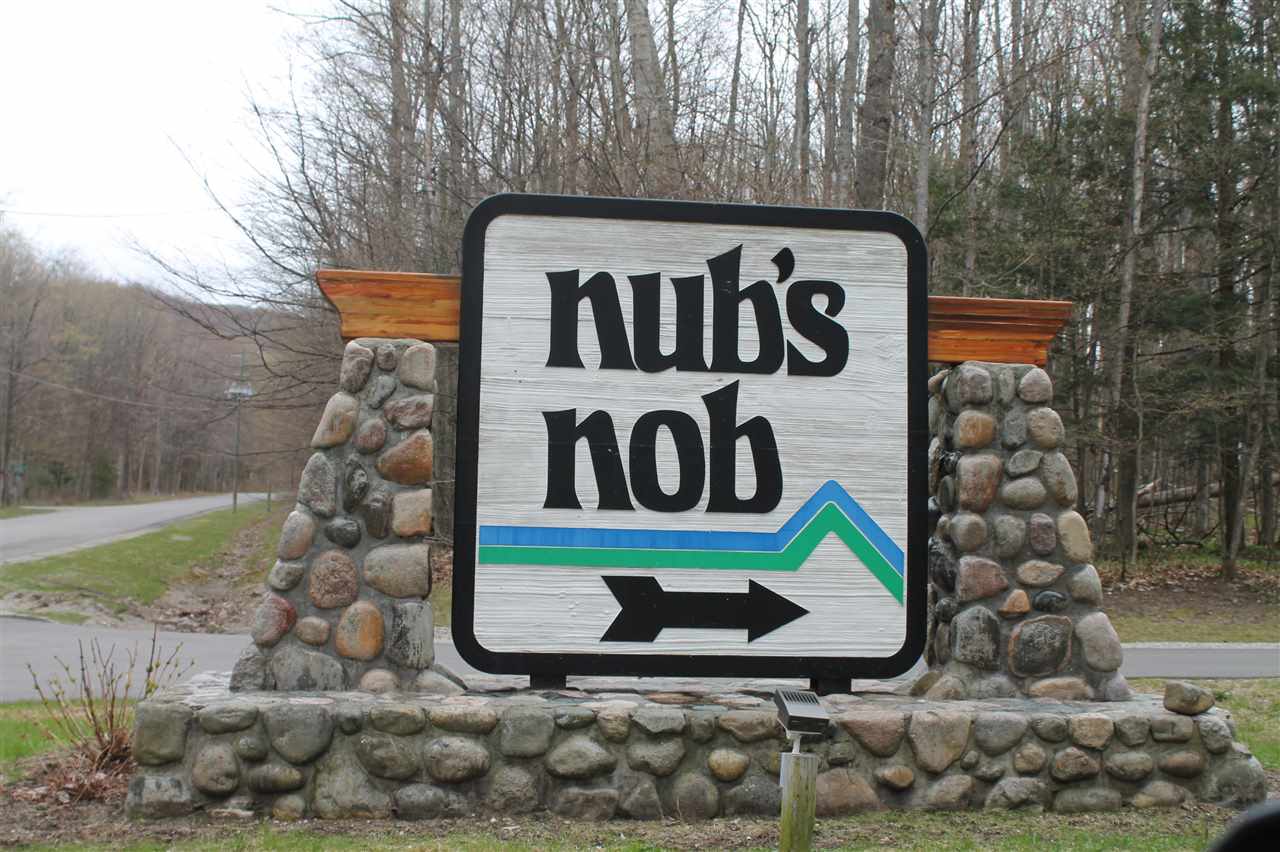 340 Pleasant Ridge Drive Harbor Springs MI 49740