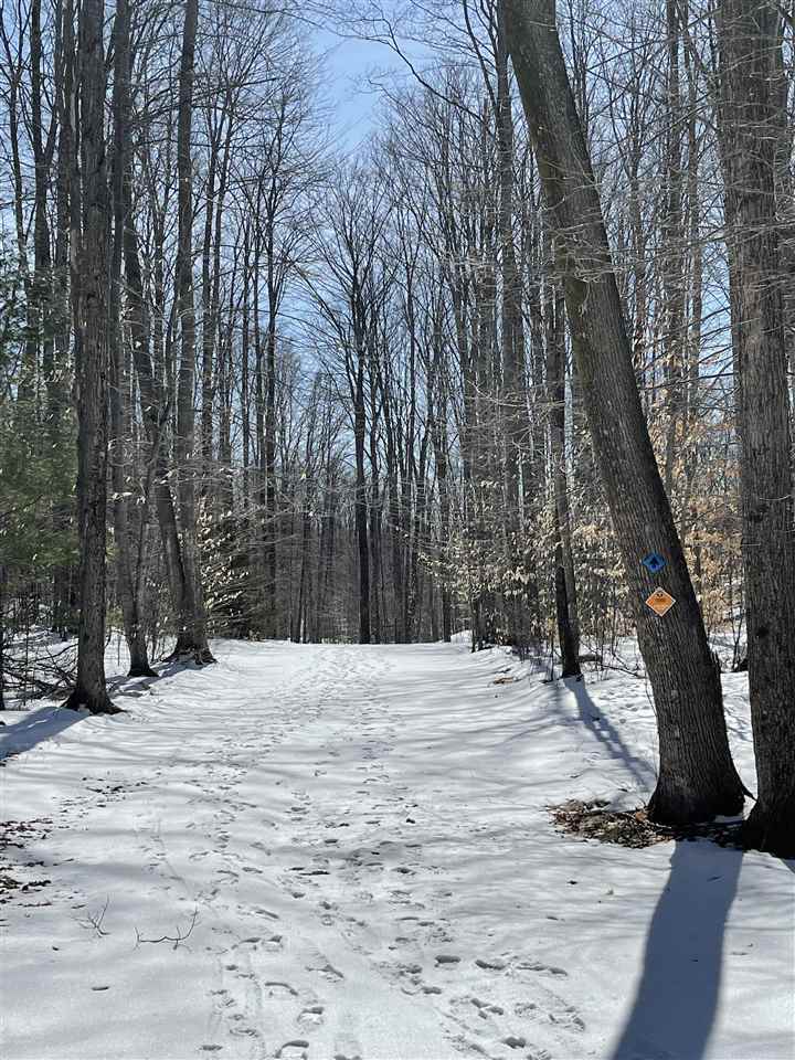 340 Pleasant Ridge Drive Harbor Springs MI 49740