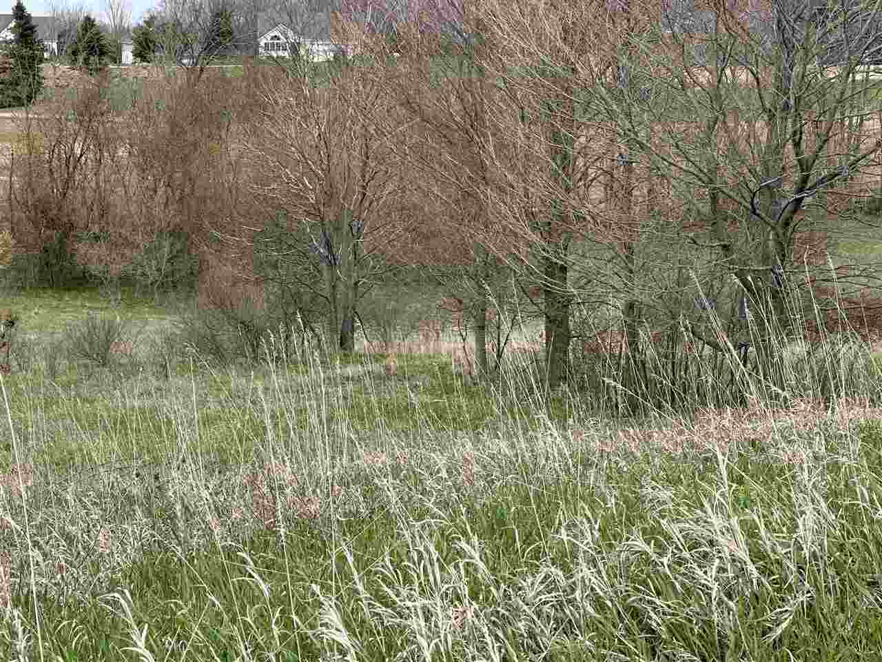 8 Foxview Drive Charlevoix MI 49720