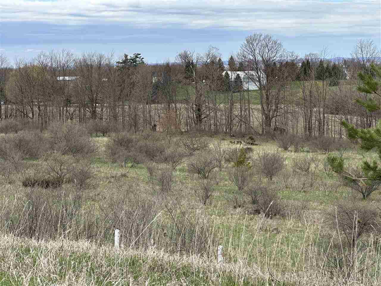 8 Foxview Drive Charlevoix MI 49720