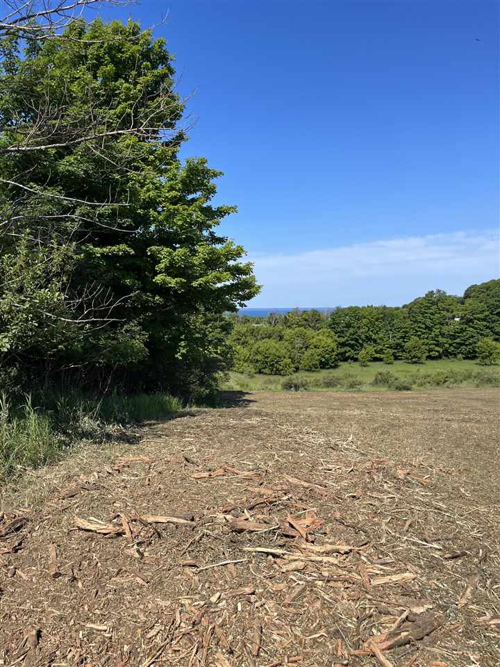 8 Foxview Drive Charlevoix MI 49720