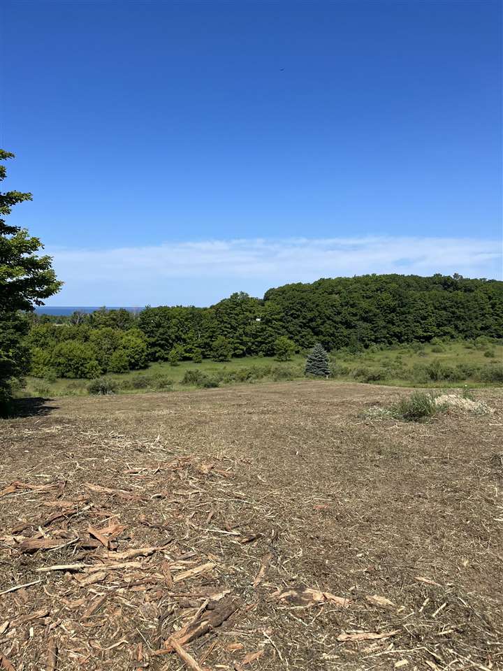 8 Foxview Drive Charlevoix MI 49720