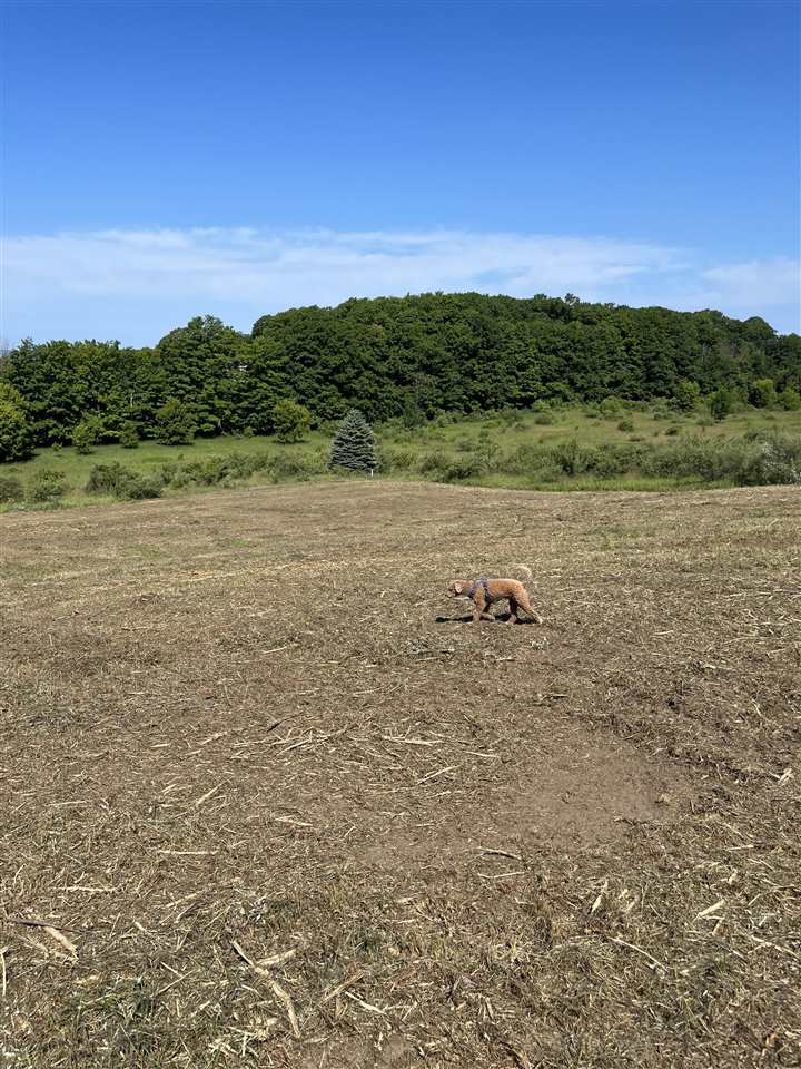 8 Foxview Drive Charlevoix MI 49720