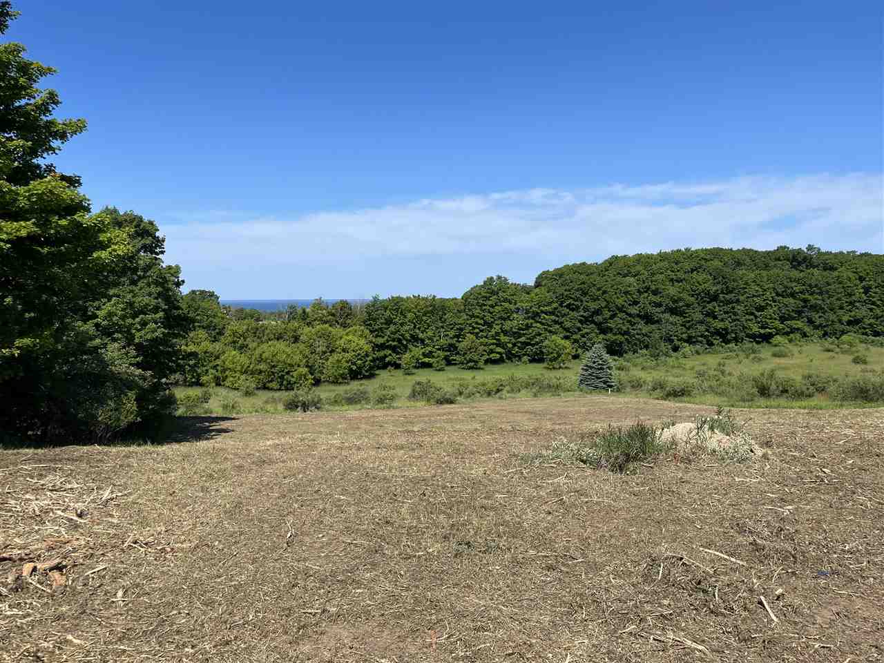 8 Foxview Drive Charlevoix MI 49720