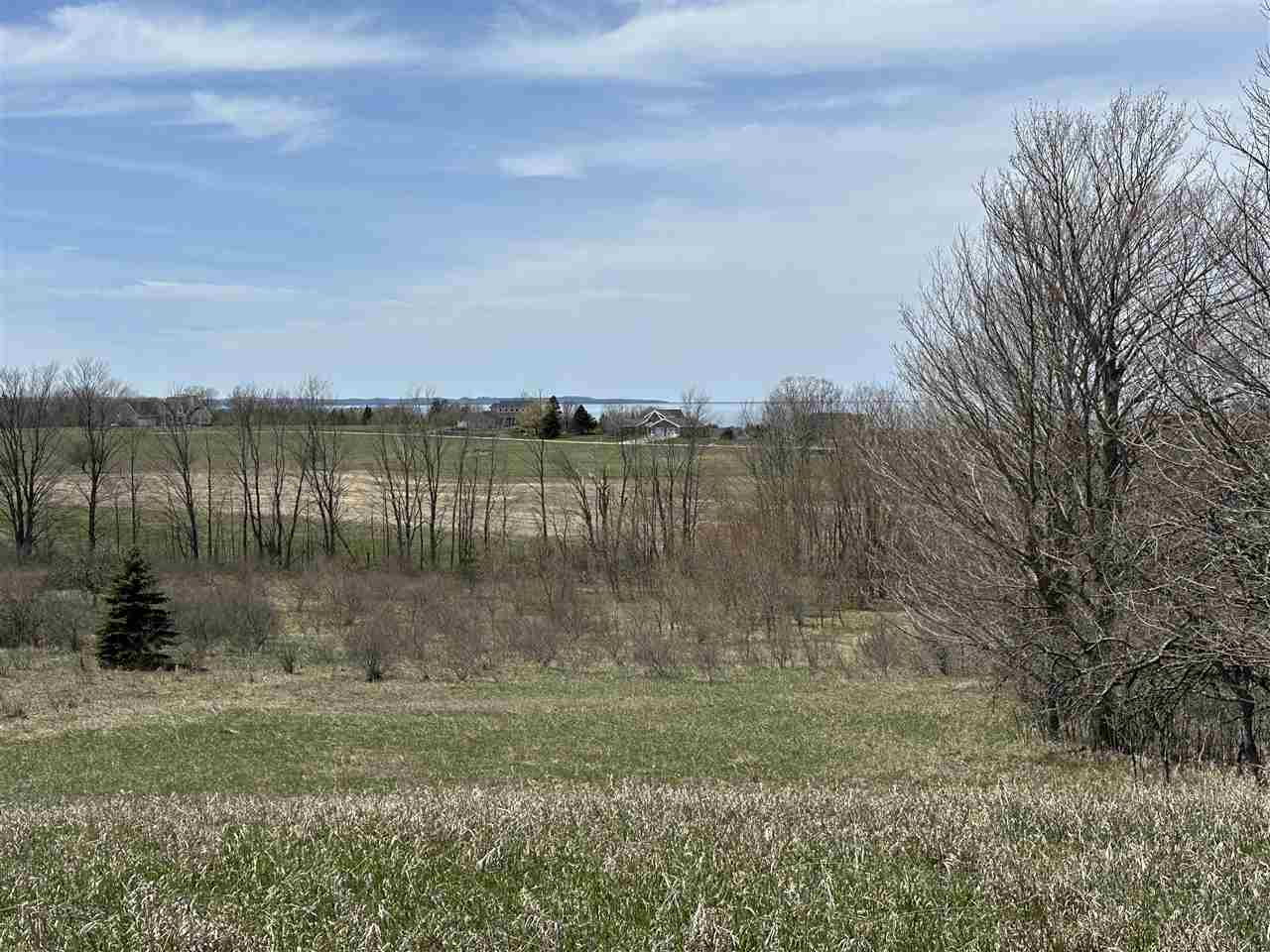 8 Foxview Drive Charlevoix MI 49720