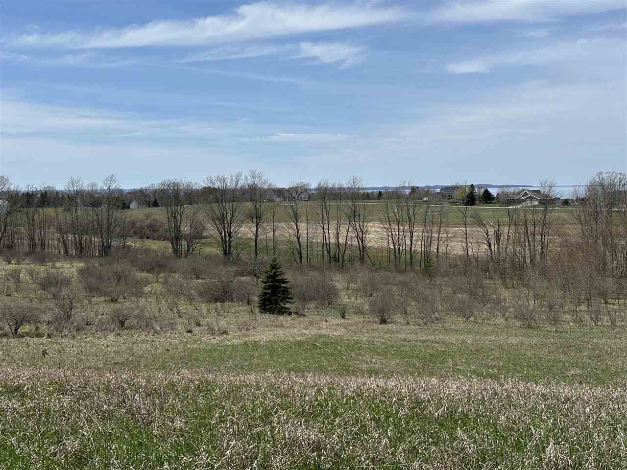 8 Foxview Drive Charlevoix MI 49720