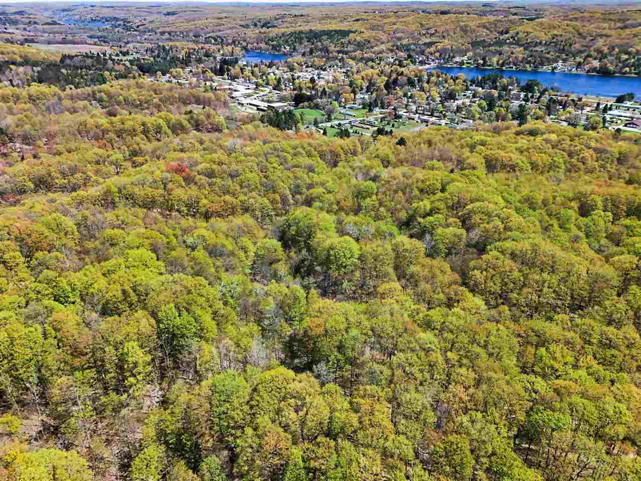 Parcel C Dawson Lane Central Lake MI 49622