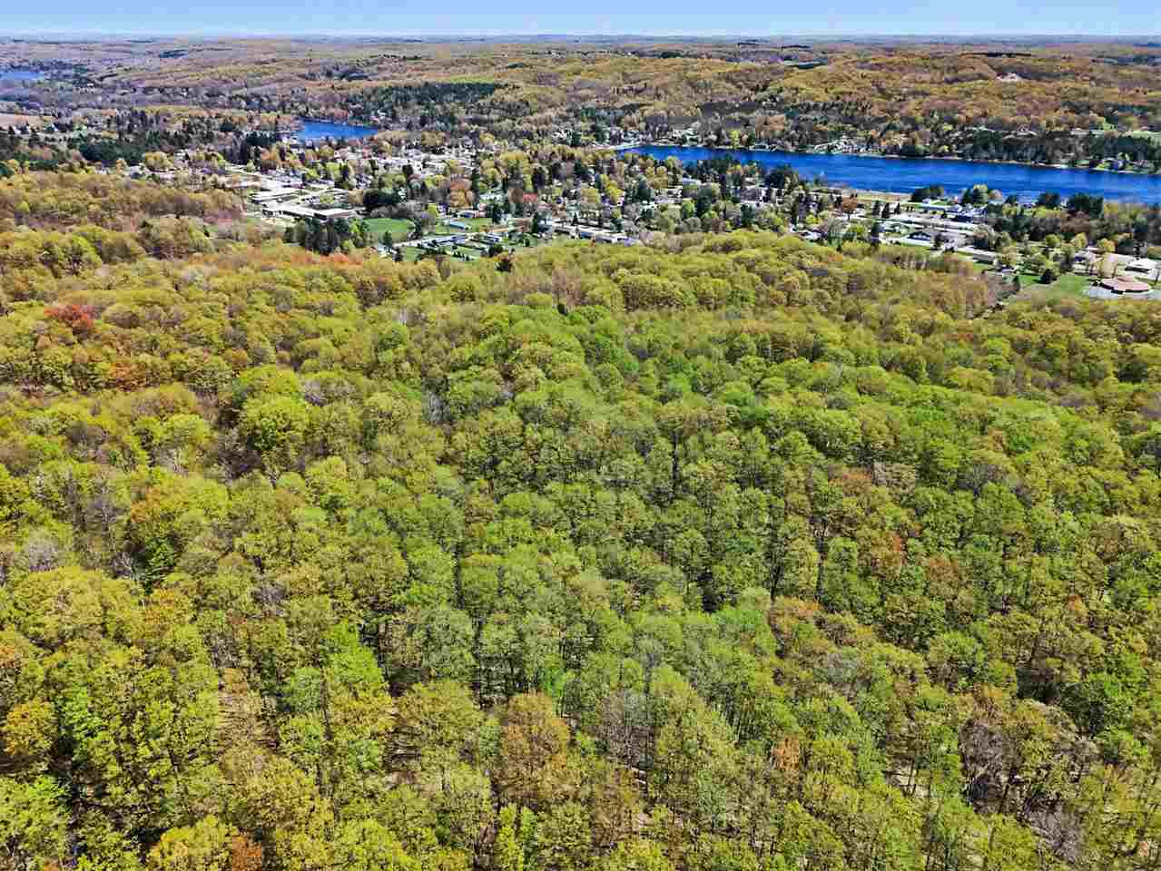 Parcel C Dawson Lane Central Lake MI 49622