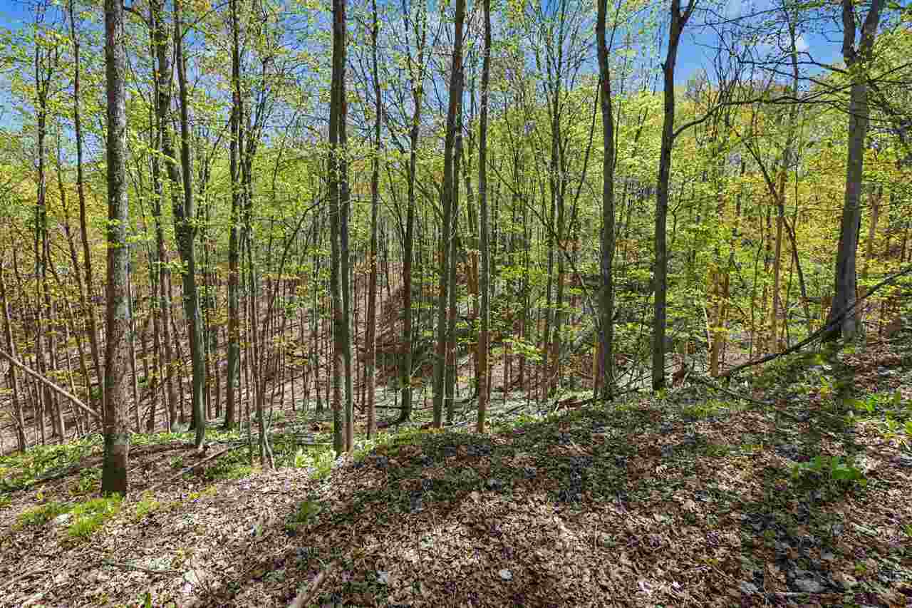 Parcel C Dawson Lane Central Lake MI 49622