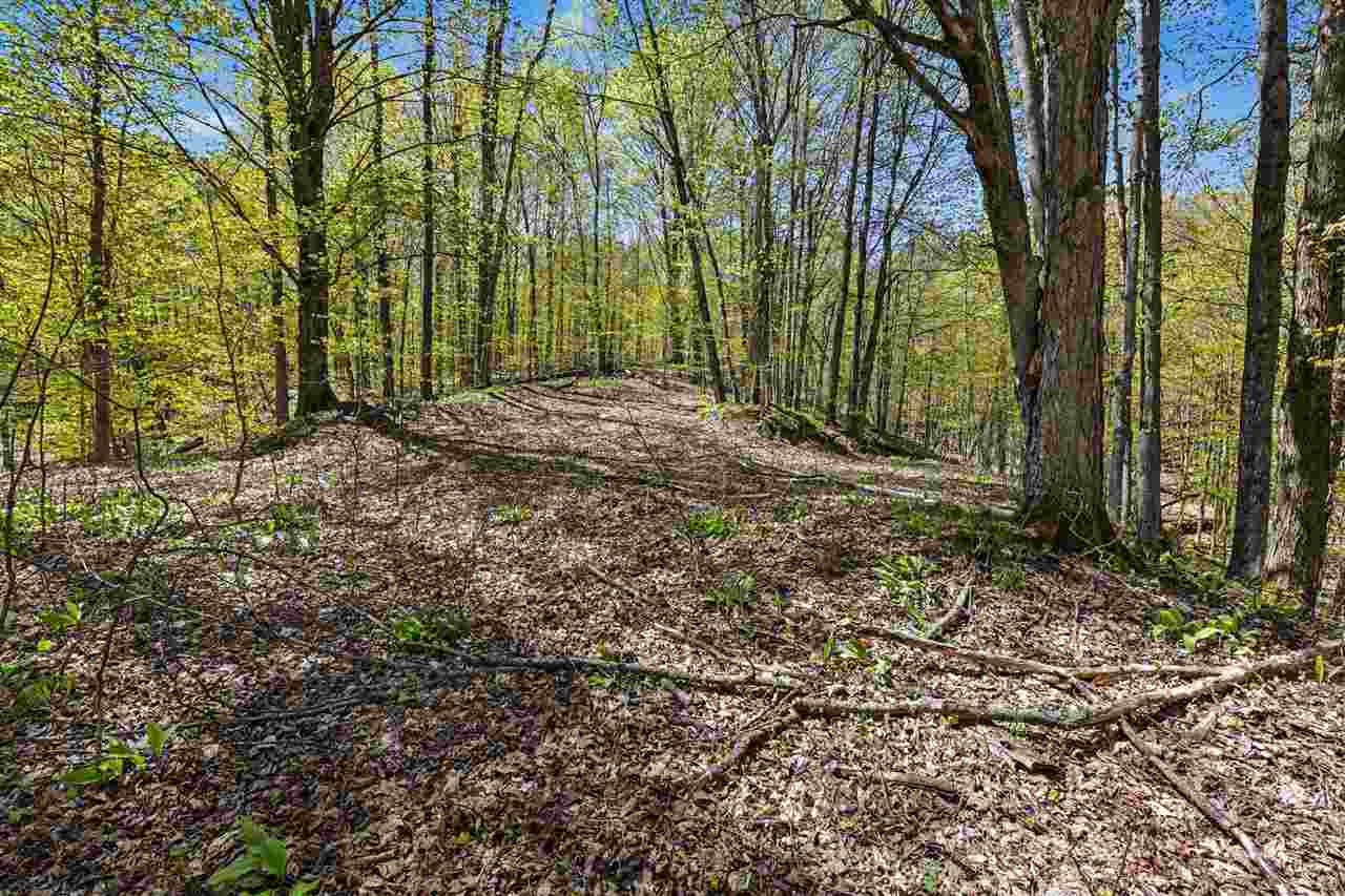Parcel C Dawson Lane Central Lake MI 49622
