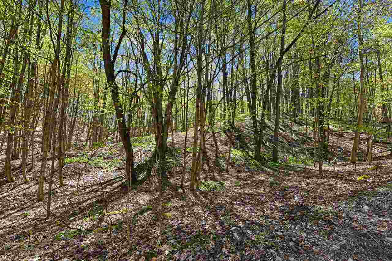 Parcel C Dawson Lane Central Lake MI 49622