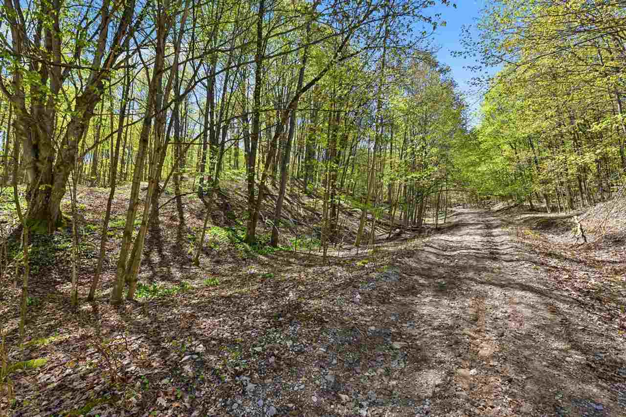 Parcel C Dawson Lane Central Lake MI 49622