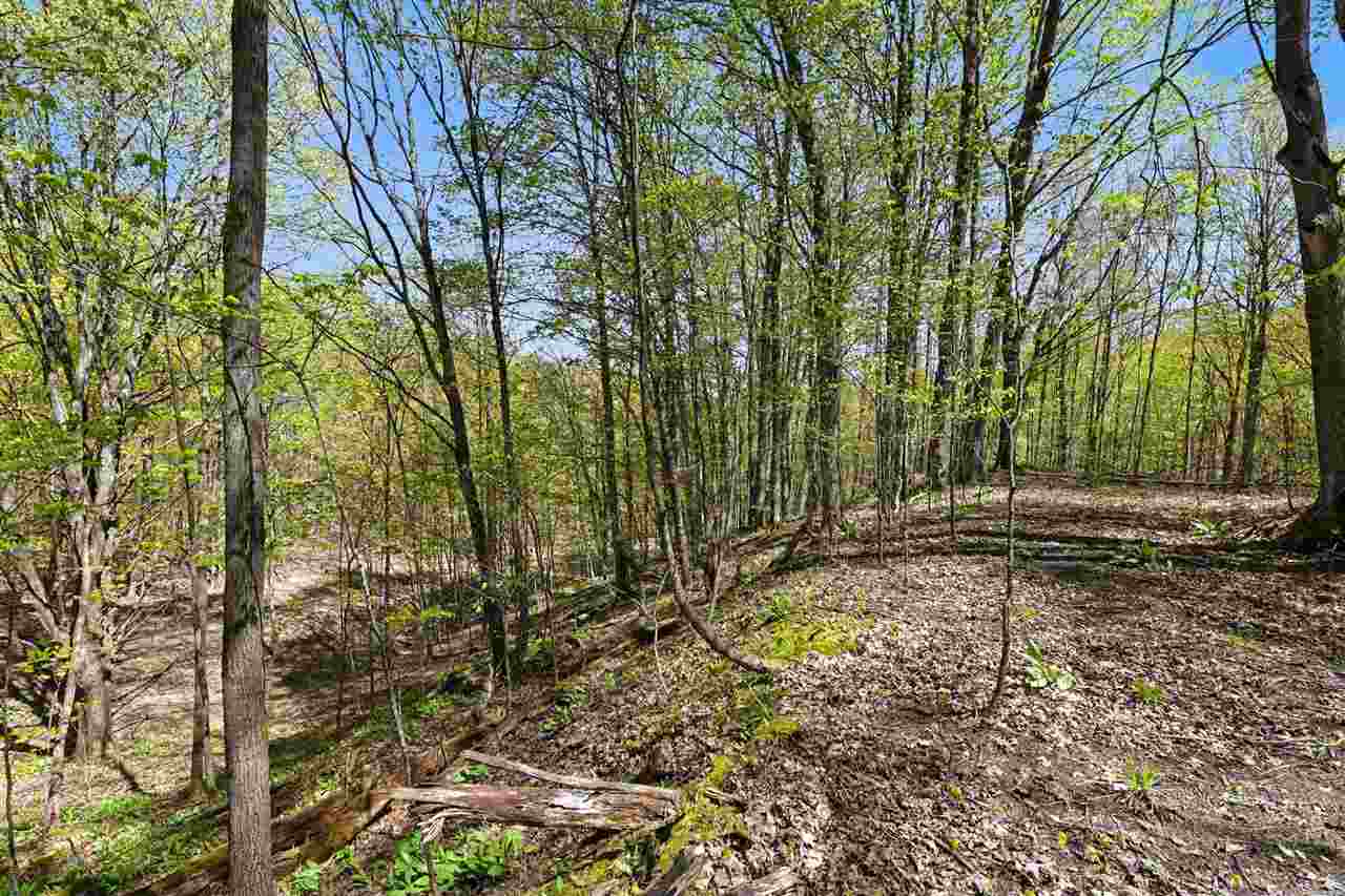 Parcel C Dawson Lane Central Lake MI 49622