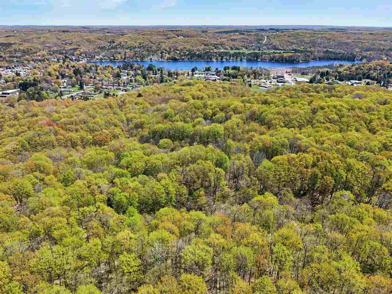 Parcel C Dawson Lane Central Lake MI 49622
