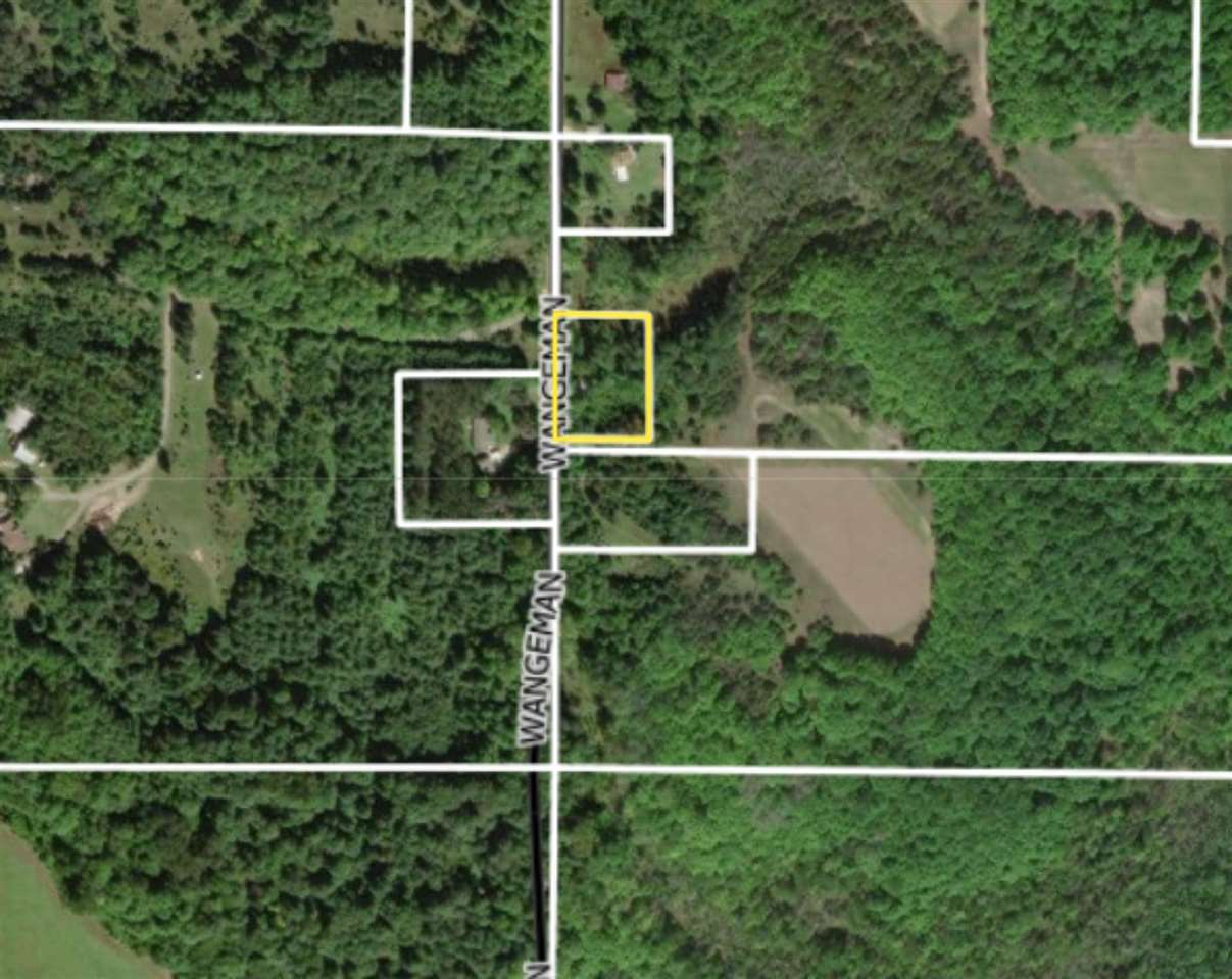 Tbd Wangeman Road East Jordan MI 49727