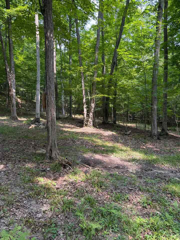 Tbd Wangeman Road East Jordan MI 49727