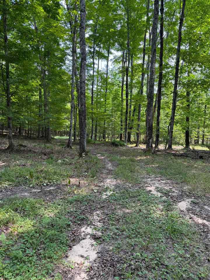 Tbd Wangeman Road East Jordan MI 49727