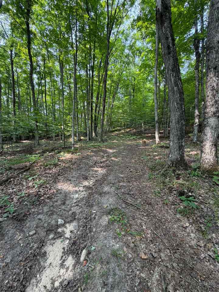 Tbd Wangeman Road East Jordan MI 49727