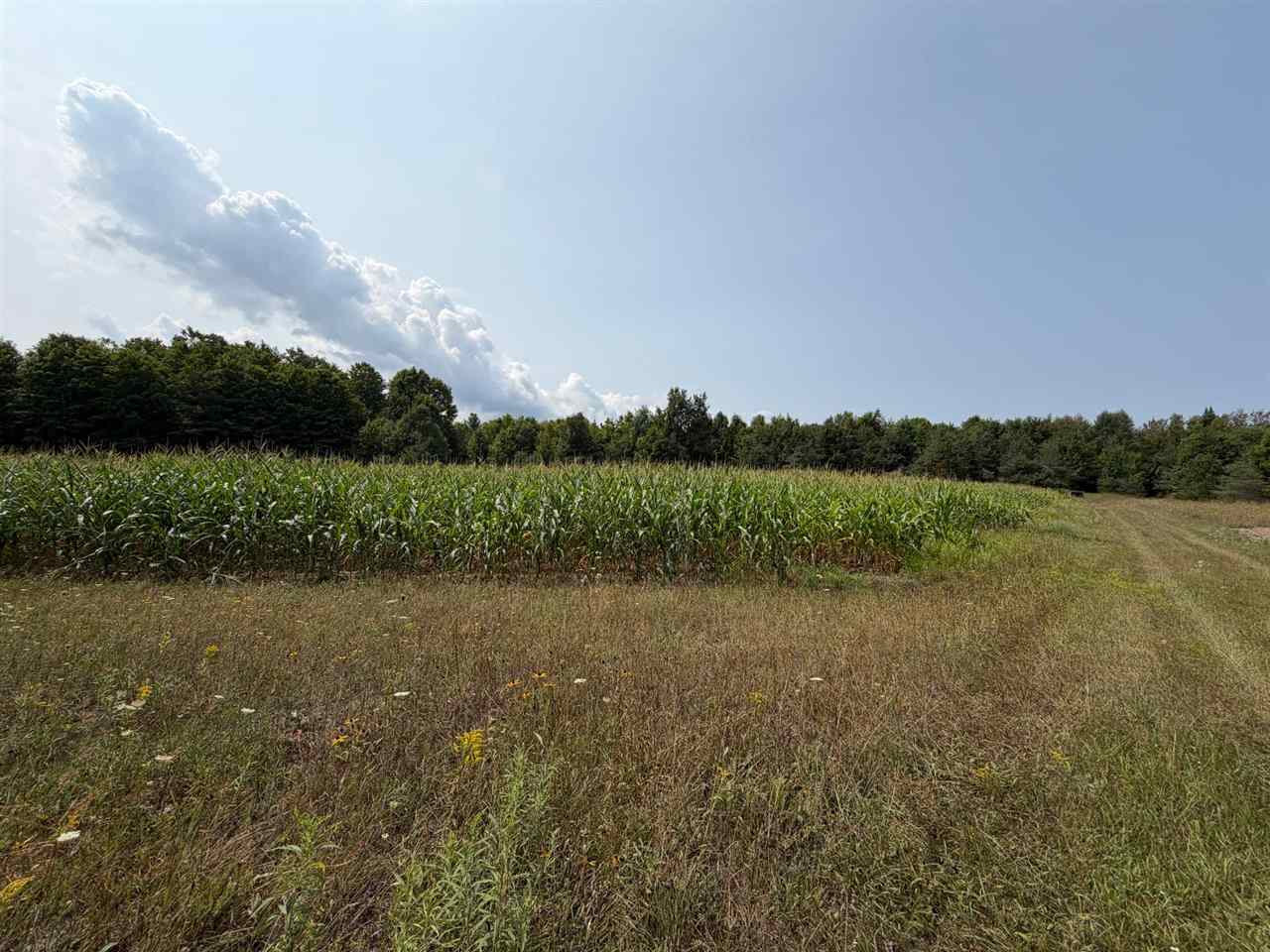 Tbd Wangeman Road East Jordan MI 49727