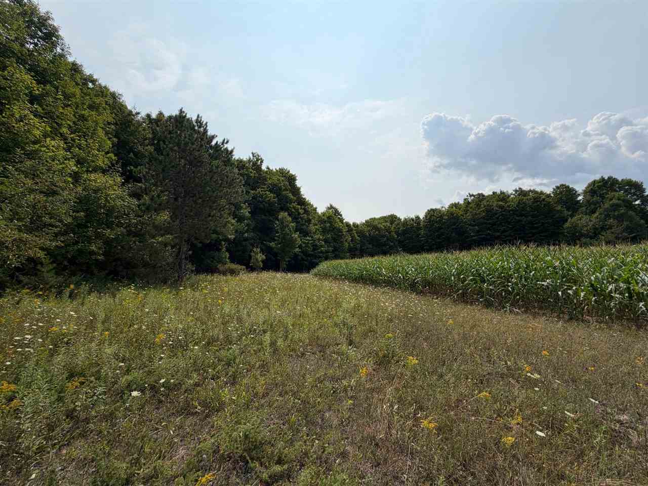 Tbd Wangeman Road East Jordan MI 49727