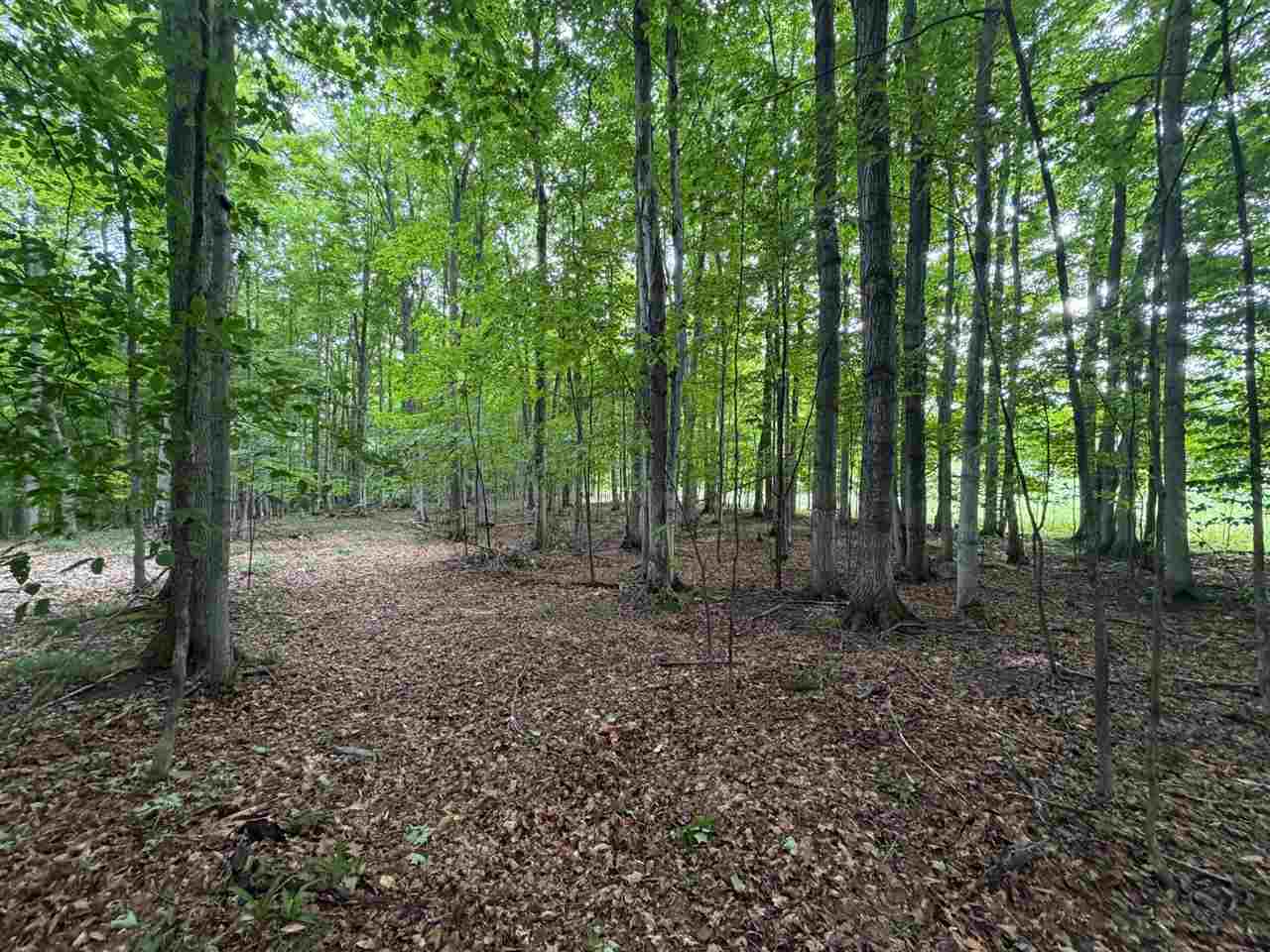 Tbd Wangeman Road East Jordan MI 49727