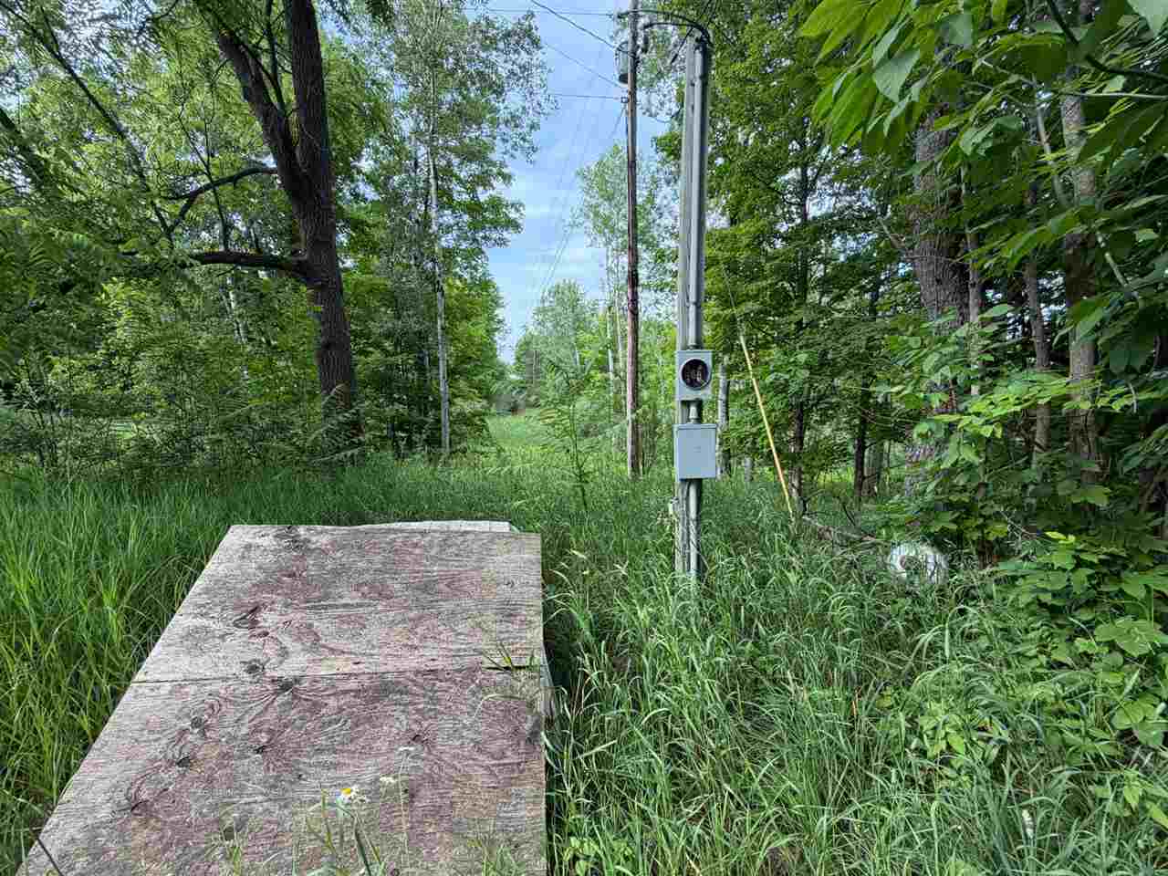 Tbd Wangeman Road East Jordan MI 49727