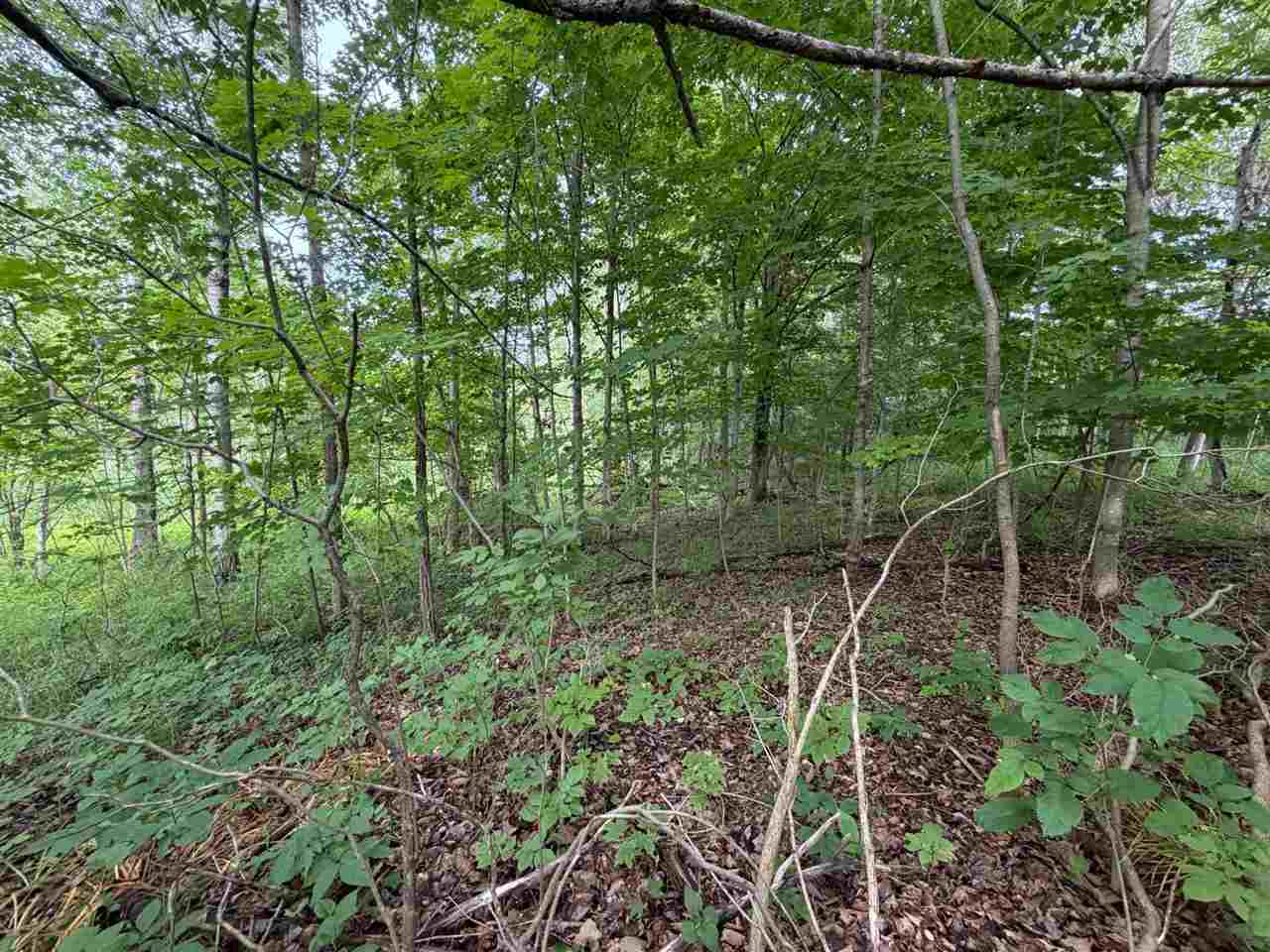 Tbd Wangeman Road East Jordan MI 49727