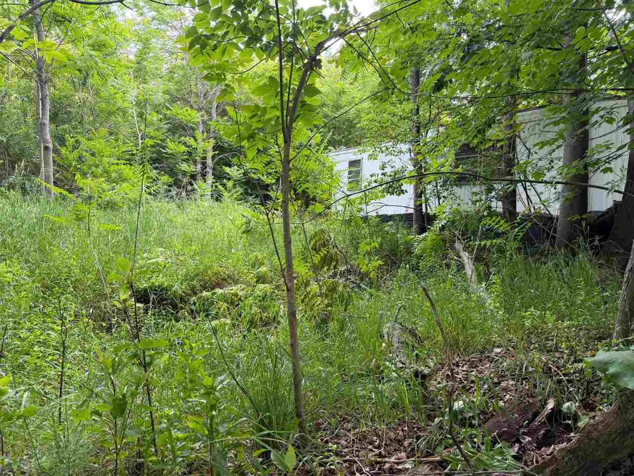 Tbd Wangeman Road East Jordan MI 49727