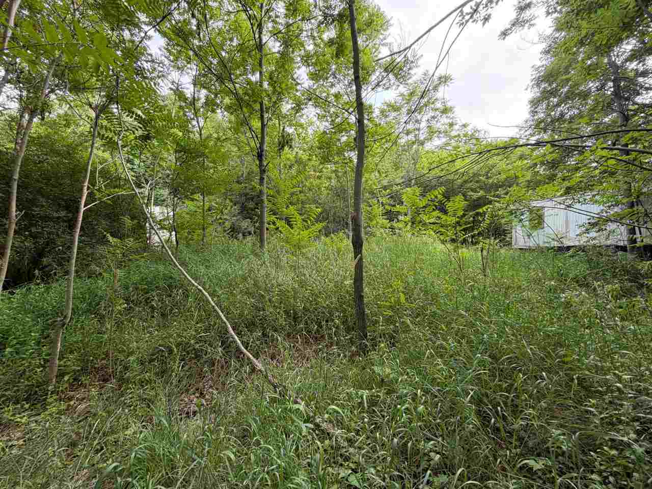 Tbd Wangeman Road East Jordan MI 49727
