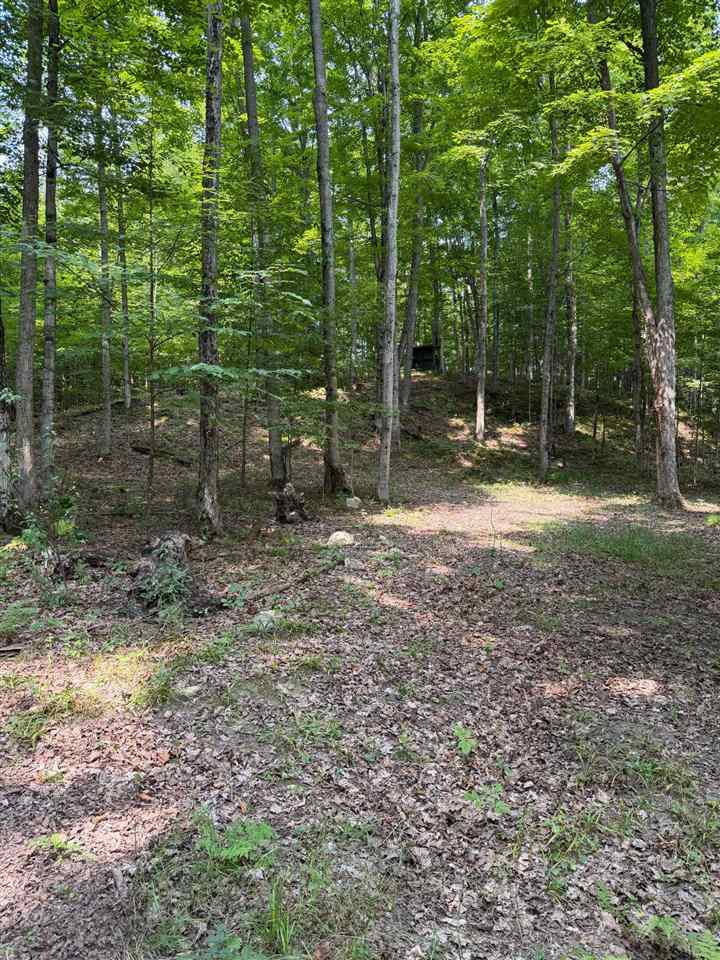 Tbd Wangeman Road East Jordan MI 49727