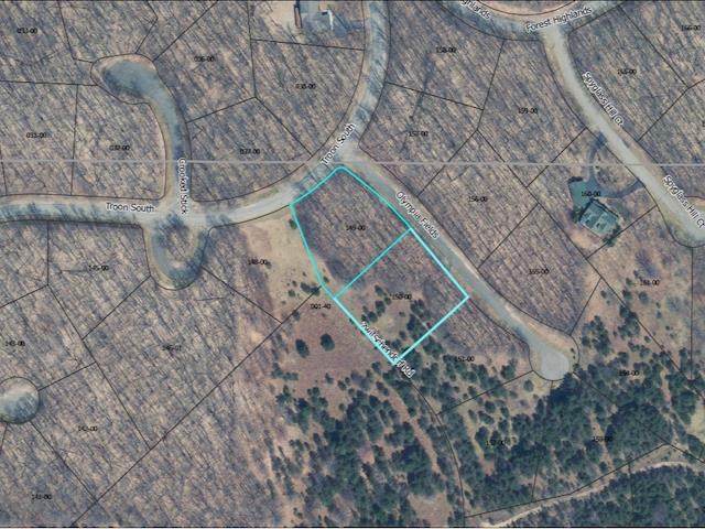 Units 149 & 150 Olympia Fields Bellaire MI 49615