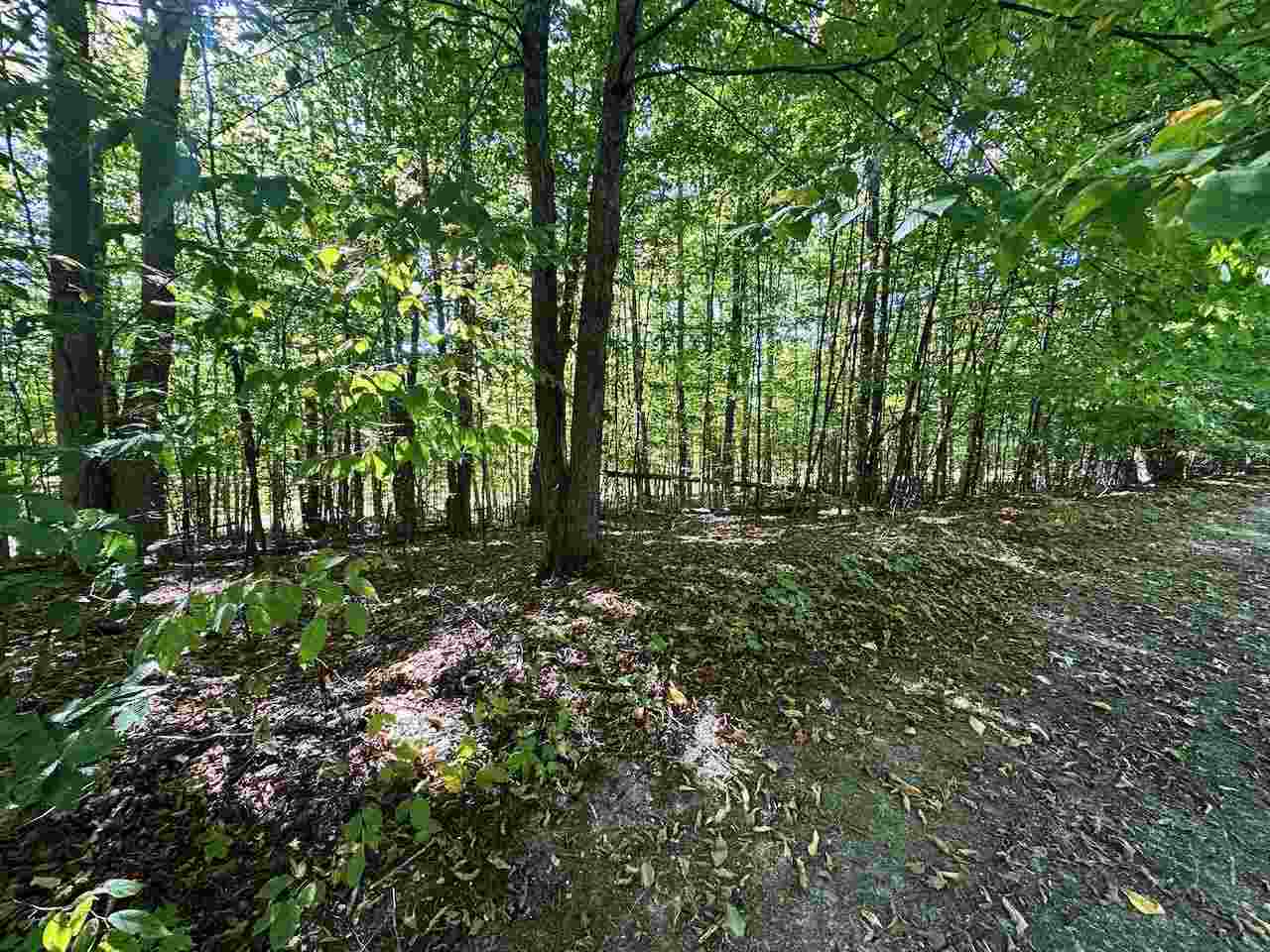 Units 149 & 150 Olympia Fields Bellaire MI 49615