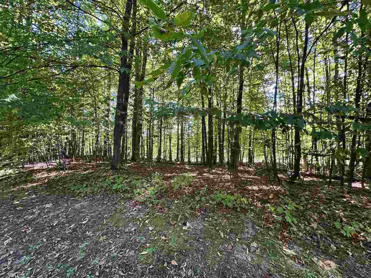 Units 149 & 150 Olympia Fields Bellaire MI 49615