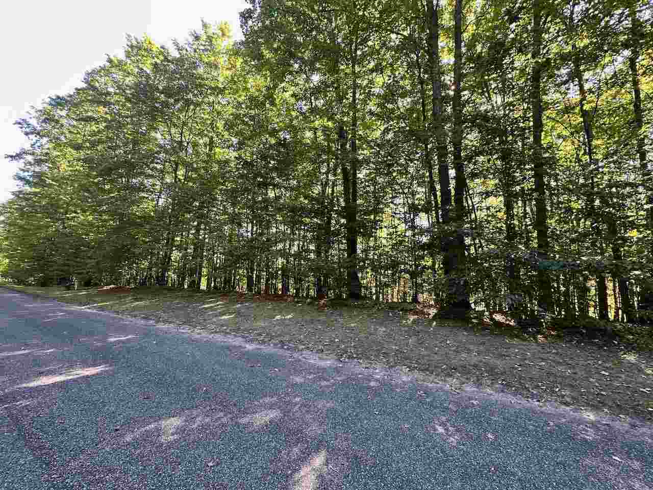 Units 149 & 150 Olympia Fields Bellaire MI 49615