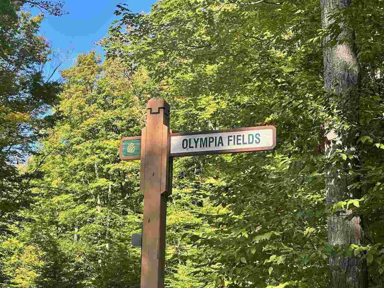 Units 149 & 150 Olympia Fields Bellaire MI 49615