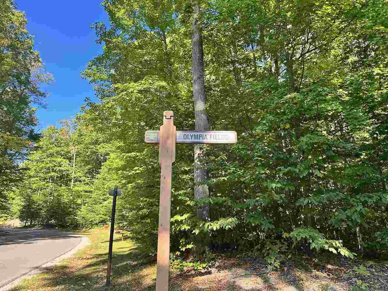 Units 149 & 150 Olympia Fields Bellaire MI 49615