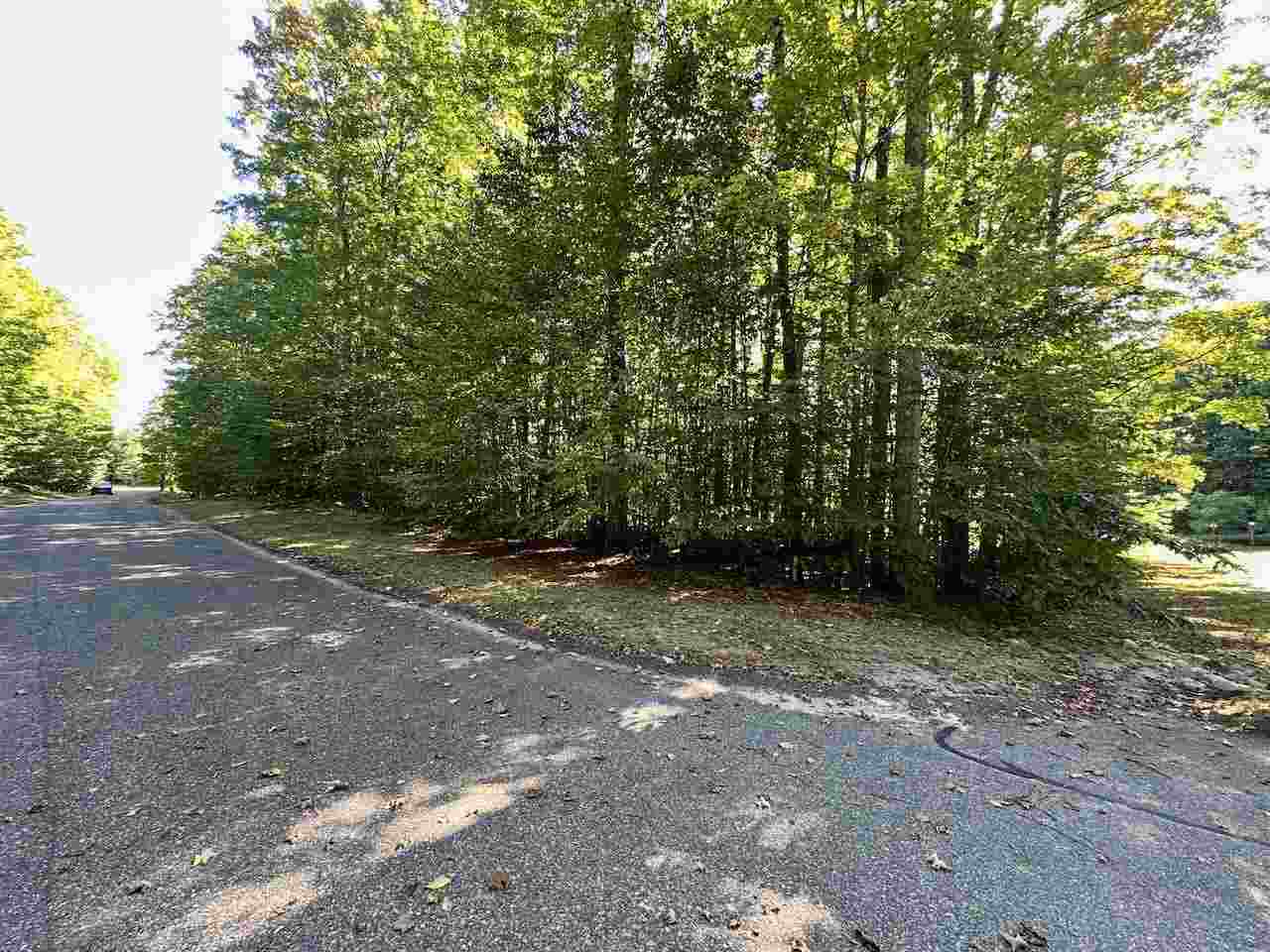 Units 149 & 150 Olympia Fields Bellaire MI 49615