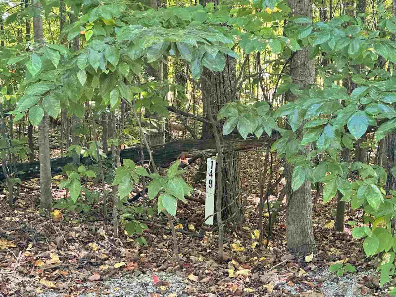 Units 149 & 150 Olympia Fields Bellaire MI 49615