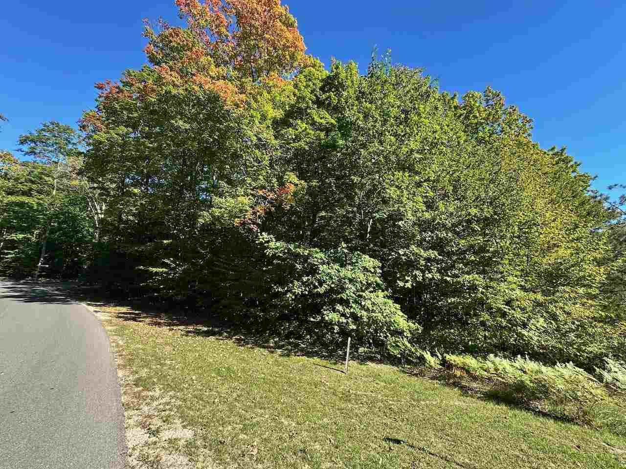 Units 149 & 150 Olympia Fields Bellaire MI 49615